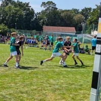 JSG Tauberfranken - Handball - Dittigheim - Tauberbischofsheim 0