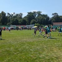 JSG Tauberfranken - Handball - Dittigheim - Tauberbischofsheim 3